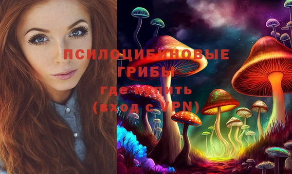 амф Алексин
