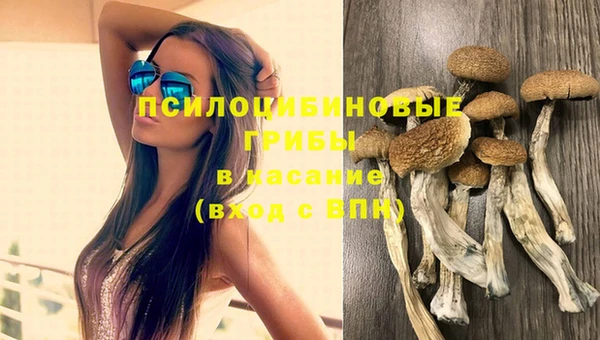 ГАЛЛЮЦИНОГЕННЫЕ ГРИБЫ Алзамай