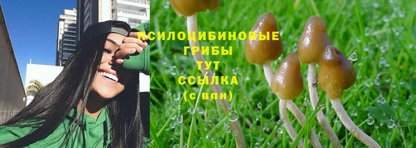 гашик Медногорск