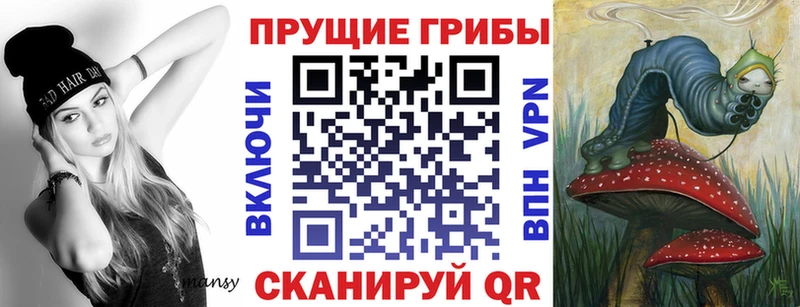Галлюциногенные грибы Psilocybe  купить  цена  Рубцовск 